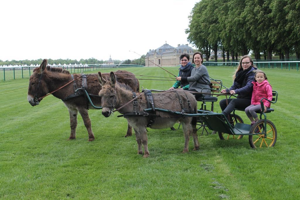 Ferme De La Canardière Chantilly Esterno foto